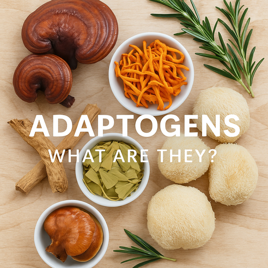 Top-down photo of natural adaptogens on a wooden surface, including Lion’s Mane mushrooms, Cordyceps, Reishi, Ashwagandha root, Ginkgo biloba leaves, and rosemary, with the text overlay 'ADAPTOGENS – What Are They?' in bold white letter