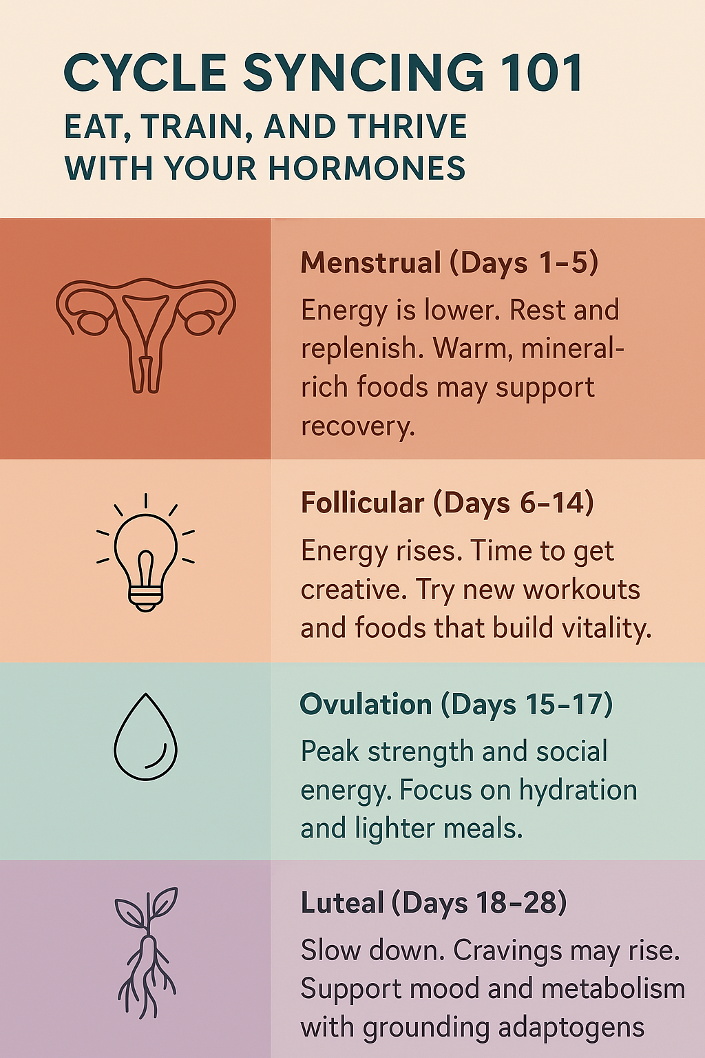 "Cycle Syncing 101: Eat, Train, and Thrive With Your Hormones," showing four menstrual cycle phases — Menstrual, Follicular, Ovulation, and Luteal — with icons and brief wellness tips for each phase, including nutrition, energy, and lifestyle guidance