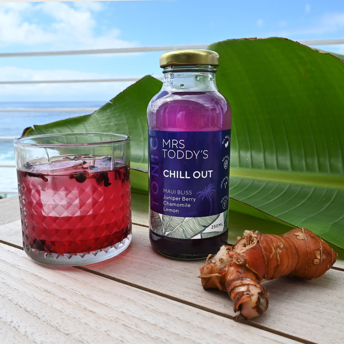 CHILL OUT TONIC 250ml x12