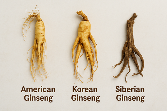 Labeled flat lay of three ginseng roots on a neutral background: American Ginseng, Korean Ginseng, and Siberian Ginseng.