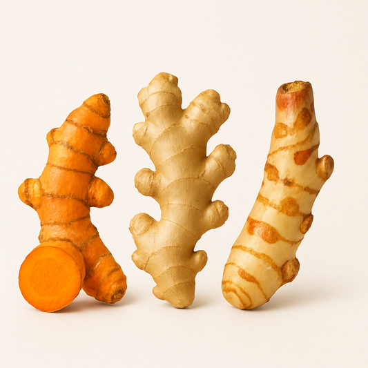 Fresh turmeric, ginger, and galangal roots lined up side by side on a neutral background, showcasing their distinct textures and natural colors.