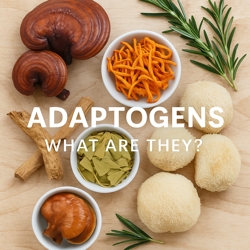 Top-down photo of natural adaptogens on a wooden surface, including Lion’s Mane mushrooms, Cordyceps, Reishi, Ashwagandha root, Ginkgo biloba leaves, and rosemary, with the text overlay 'ADAPTOGENS – What Are They?' in bold white letter