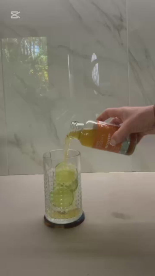 Recovery Tonic – Turmeric & Ginger Adaptogen Drink 250ml